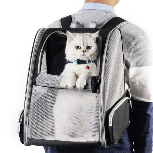 Pet Carrier Backpack โ Airline-Approved for Small Dogs & Cats