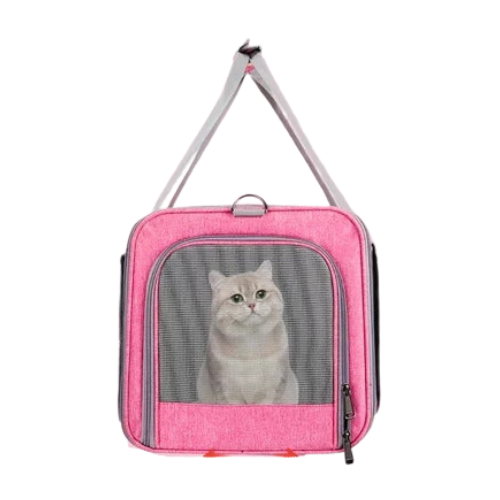 Collapsible Pet Carrier for Small Medium Cat Dogs up to 20lbs