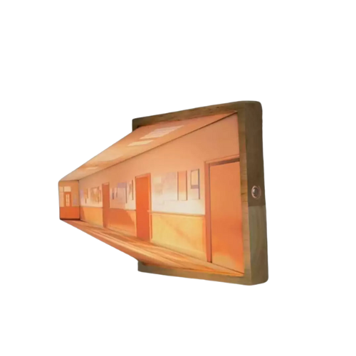 3D Optical Illusion Wall Lamp & Night Light